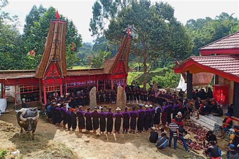 Travel Foto Mengintip Upacara Rambu Solo Ritual Pemakaman Orang