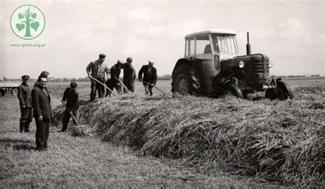 Pgr's went public 34.67 years ago, making it older than 92.29% of listed us. Grodzisk Wielkopolski w czasach PRL-u