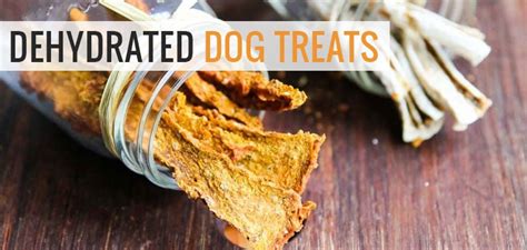 Never treat your dog with surprise meals at random. Dogstoo, just like humans, should be restrictively given chocolates, sweets, andbread due to ...