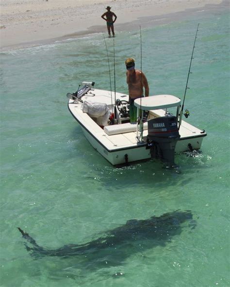 Shark Nokomis Beach Is Located On Casey Key Directly West Of The