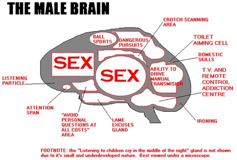 Attention Women Inner Workings Of Men S Brains Revealed Huffpost Entertainment