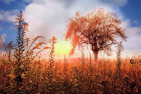 Autumn Pastures Photograph By Debra And Dave Vanderlaan Fine Art America