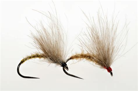 Fly Tying Pattern For Trout And Grayling Cdc Emerger