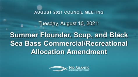 Summer Flounder Scup And Black Sea Bass Commercial Recreational Allocation Amendment Youtube