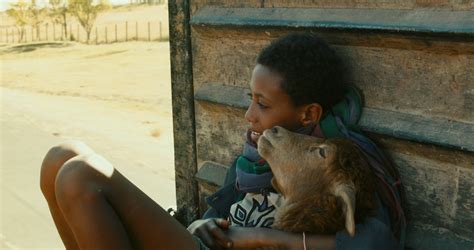 Film Sortie Il Y A Pas Longtemps - Critique : Lamb, d'Yared Zeleke - Critikat