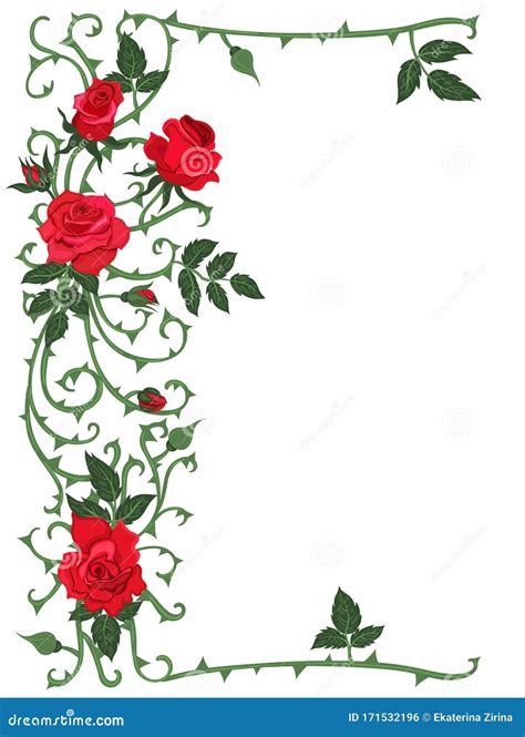 Frame Of Thorns And Red Roses Isolated On A White Background Vector