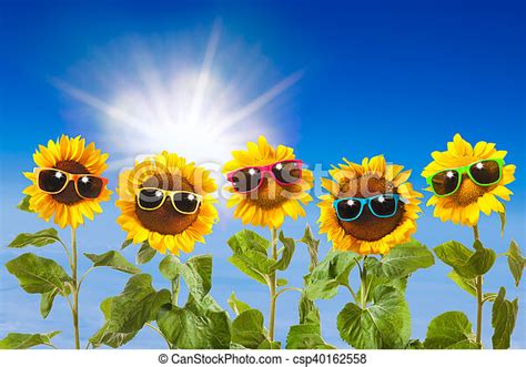Sunflowers With Sunglasses On Blue Sky Background Canstock