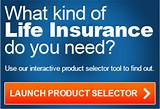 Reasonable Life Insurance Policies Images