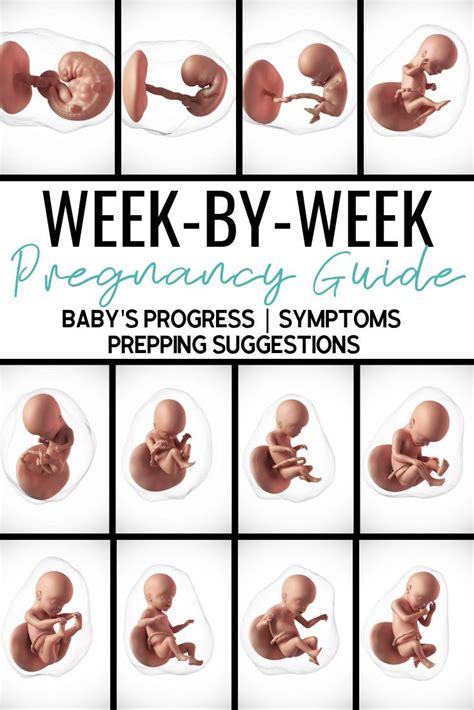 Second Pregnancy Symptoms Week By Week Pregnancy Sympthom