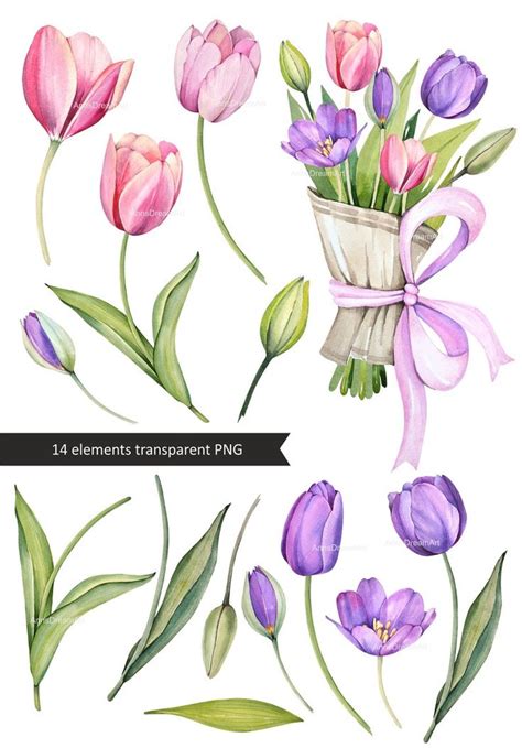 Spring Flowers Clipart Watercolor Tulips Clipart Violet Etsy