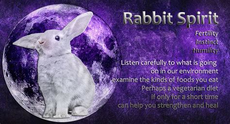 Rabbit spirit | Spirit animal, Animal spirit guide, Spirit ...