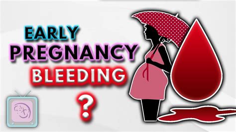 implantation bleeding early pregnancy bleeding and spotting 10 important facts youtube