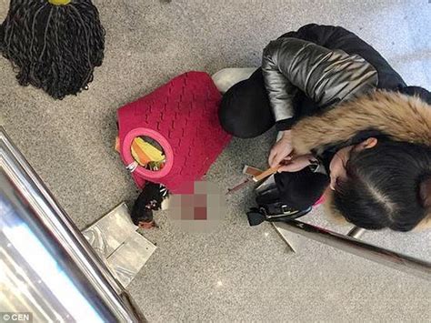 Hog gang | a&e подробнее. Chinese woman kills live duck at train station so she ...