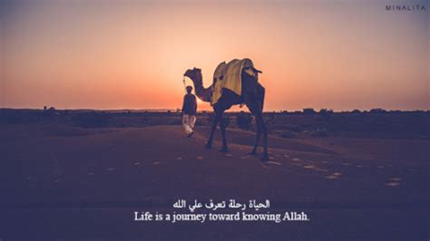 Hazrat ali quotes about life with beautiful images. life quote on Tumblr