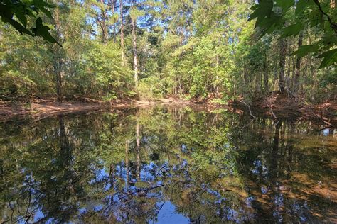 Kentwood, Tangipahoa Parish, LA Recreational Property, Timberland