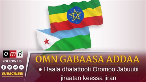 Omn Gabaasa Addaa Haala Dhalattooti Oromoo Jabuutii Jiraatan Keessa