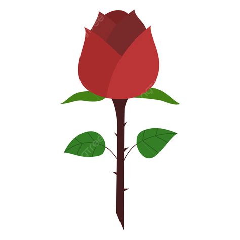 Gambar Bunga Mawar Mawar Bunga Bunga Naik Clipart Png Dan Vektor