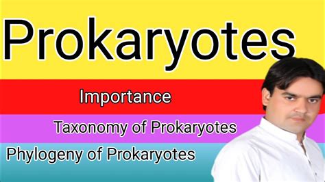 Prokaryotes Introduction Taxanomy And Phylogenyprokaryotes Youtube