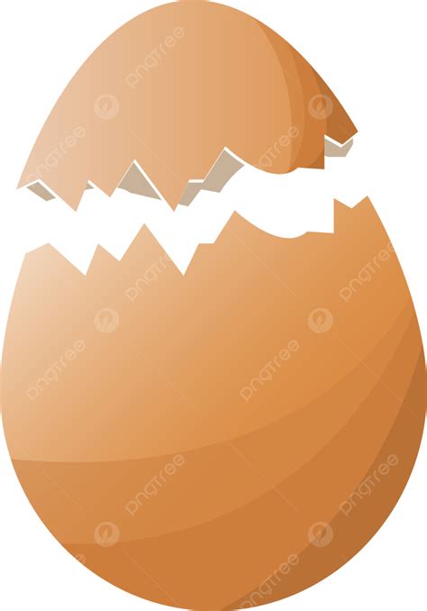 Broken Egg Cracked Egg Broken Broken Egg Crack Broken Egg Egg Shell