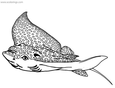Spotted Stingray Coloring Pages - XColorings.com