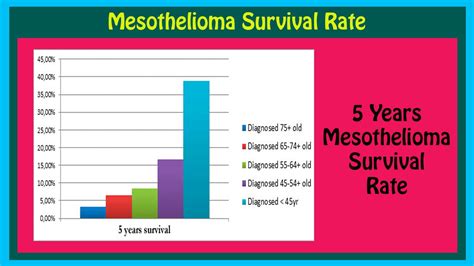 Mesothelioma Survival Rate Mesothelioma Survival Rates 2016 Online