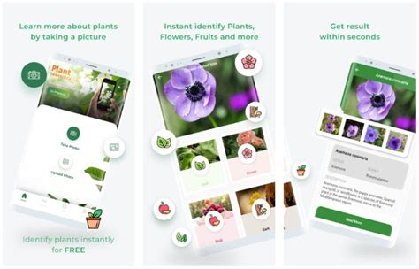 Below, you'll find nine plant & flower identification applications for android. 9 Best Plant Identification Apps for Android and iOS 2020