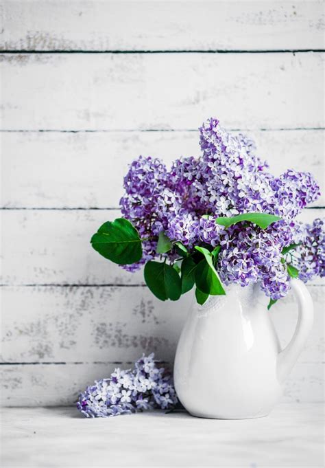 Lilacs In White Vase — Free Image From