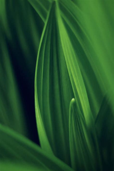Nature Iphone 7 Wallpapers Page 3
