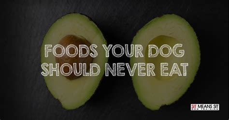 Foods Your Dog Should Never Eat Sit Means Sit Dog Training