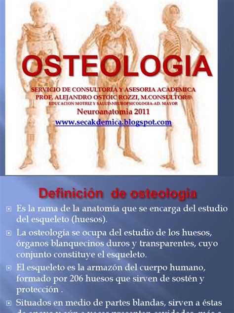 Osteologia Ppt 2009 Pdf Hueso Sistema Musculoesquelético