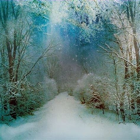 Mystical Winter Wonderland Winter Szenen Winter Love Winter Magic
