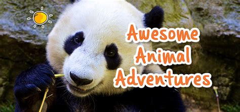 Awesome Animal Adventures Picniq Blog
