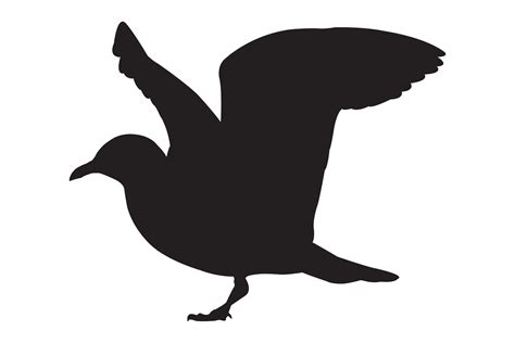 Seagull Silhouette Graphic By Illustrately · Creative Fabrica