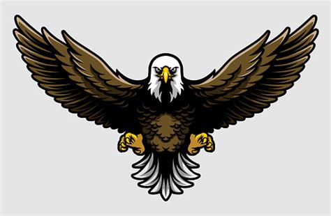 American Bald Eagle With Open Wings And Claws In Cartoon Style Stock