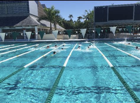 Coral Gables Swimming Dives Into A New Season Cavsconnect
