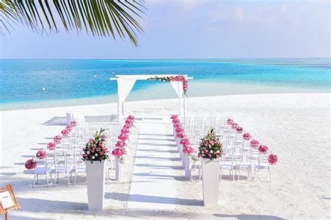 Discounts shall be taken off of the full. Free stock photo of beach, beach wedding, chairs