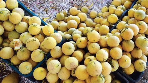 Trying to curb artificial ripening of fruits: Gujarat Govt