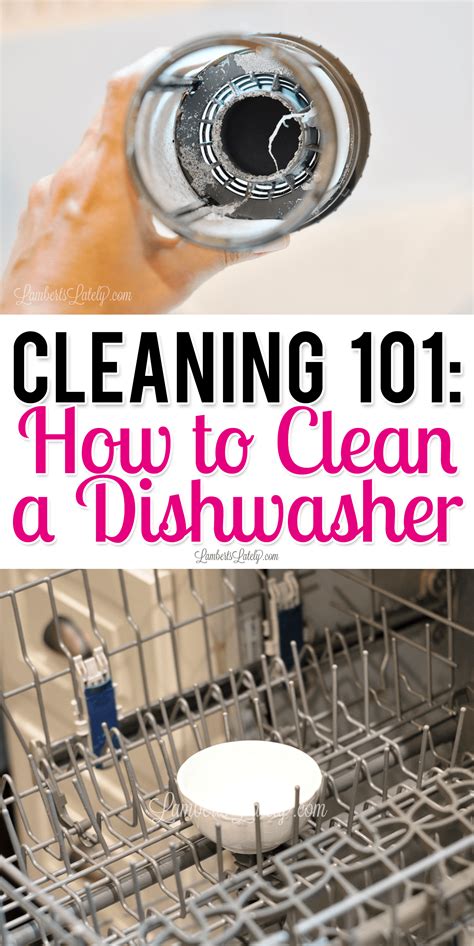 Make sure the cup is such that the retainer submerges in the mixture. Cleaning 101: How to Clean a Dishwasher | Clean dishwasher ...