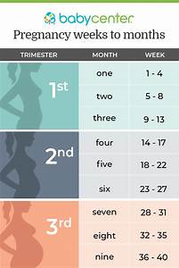 Pregnancy Weeks To Months How Many Weeks Months And Trimesters In