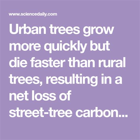 Urban Trees Live Fast Die Young Compared To Those In Rural Forests