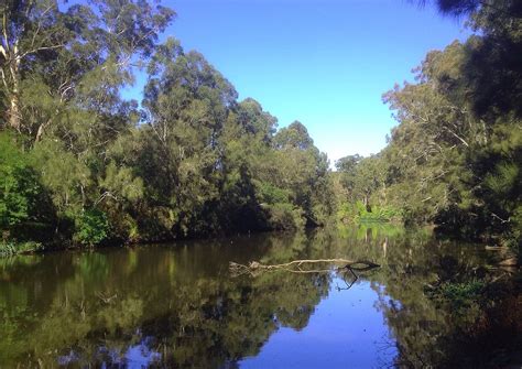 Lane Cove River View Of The Lane Cove River Near Sydney Ea Flickr