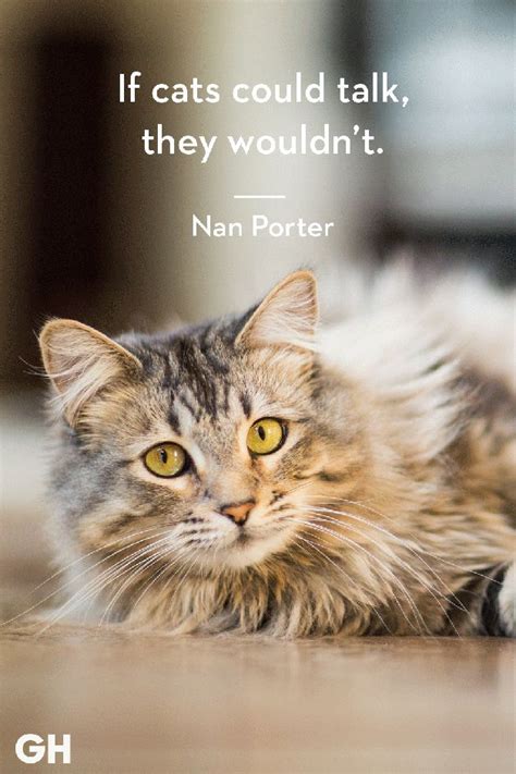 25 Quotes Only Cat Owners Will Understand Fluffiness