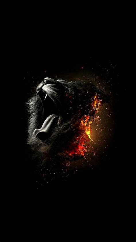 Black Lion Iphone Wallpapers Wallpaper Cave