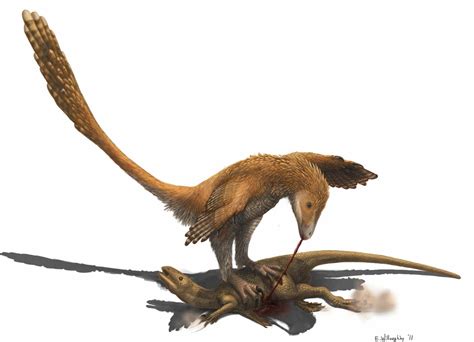 Dromaeosaurs Your Guide To The Raptors