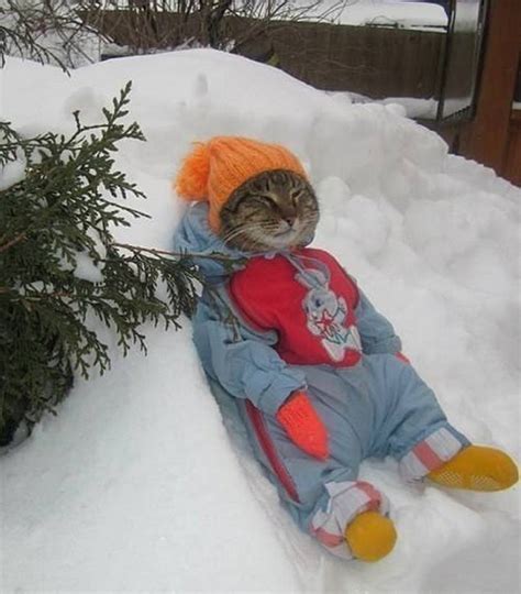 20 Awesomely Cute Animals Ready To Take On Winter