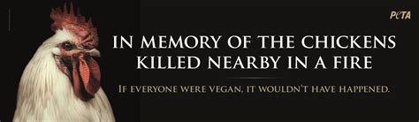 Memorial Billboard To Pay Tribute To 50000 Chickens Killed In