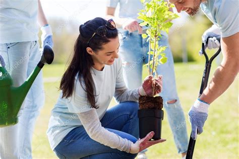 Group Of Volunteers Planting Tree In Park — Stock Photo © Syda