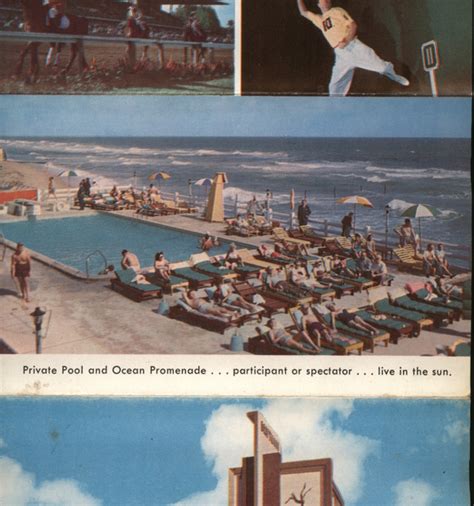 The Driftwood Motel Miami Beach Fl Large Format Postcard