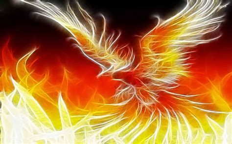 Phoenix And Dragon Wallpapers Top Free Phoenix And Dragon Backgrounds
