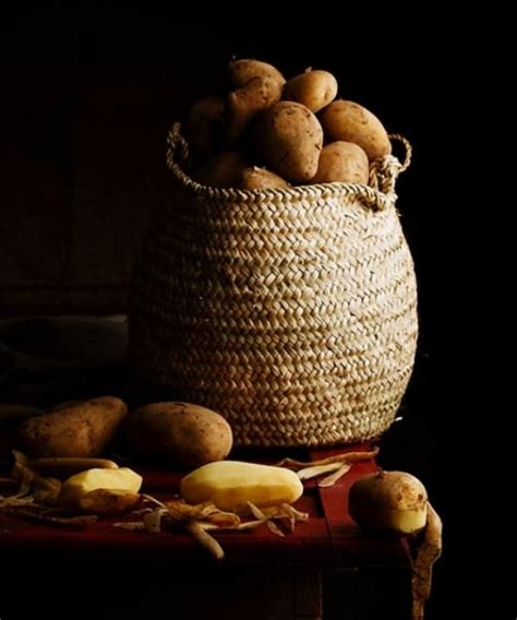 Check spelling or type a new query. 10 Common Examples of Genetically Modified Food - Buzz 2018